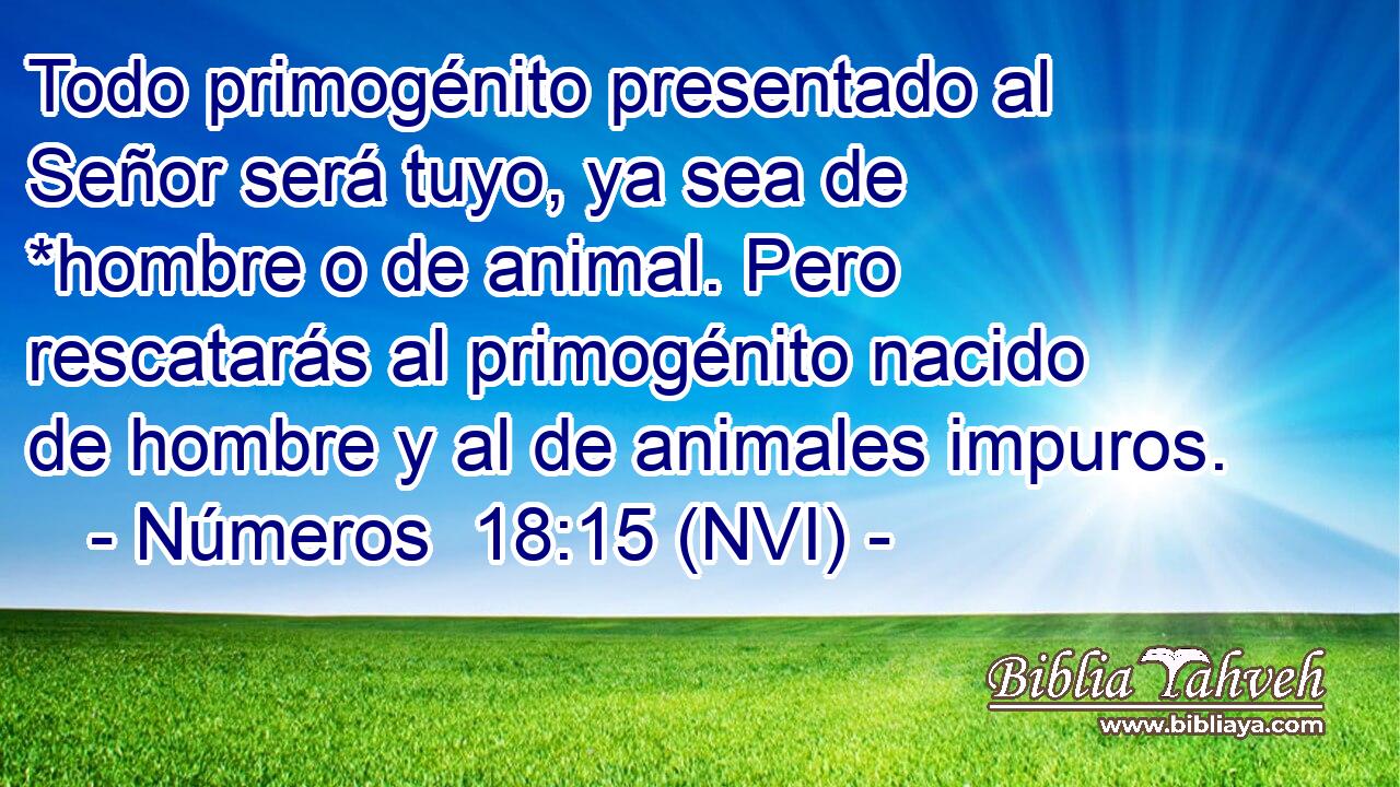  Todo primogénito presentado al Señor será tuyo, ya sea de *hombre o de animal. Pero rescatarás al primogénito nacido de hombre y al de animales impuros. 