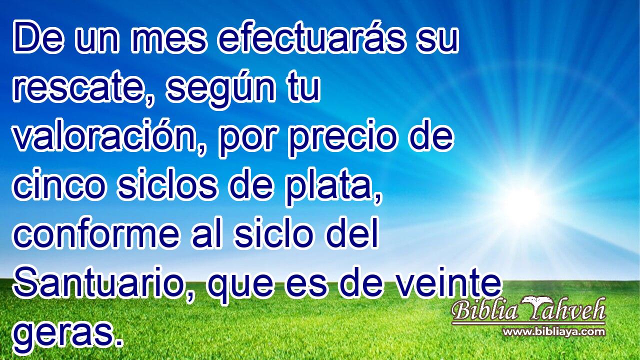 De un mes efectuarás su rescate, según tu valoración, por precio de cinco siclos de plata, conforme al siclo del Santuario, que es de veinte geras.