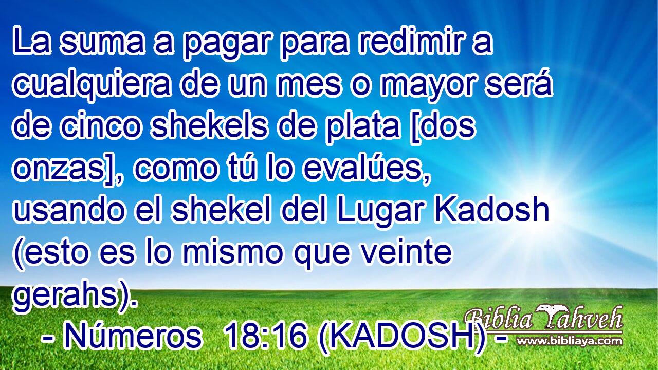  La suma a pagar para redimir a cualquiera de un mes o mayor será de cinco shekels de plata [dos onzas], como tú lo evalúes, usando el shekel del Lugar Kadosh (esto es lo mismo que veinte gerahs). 