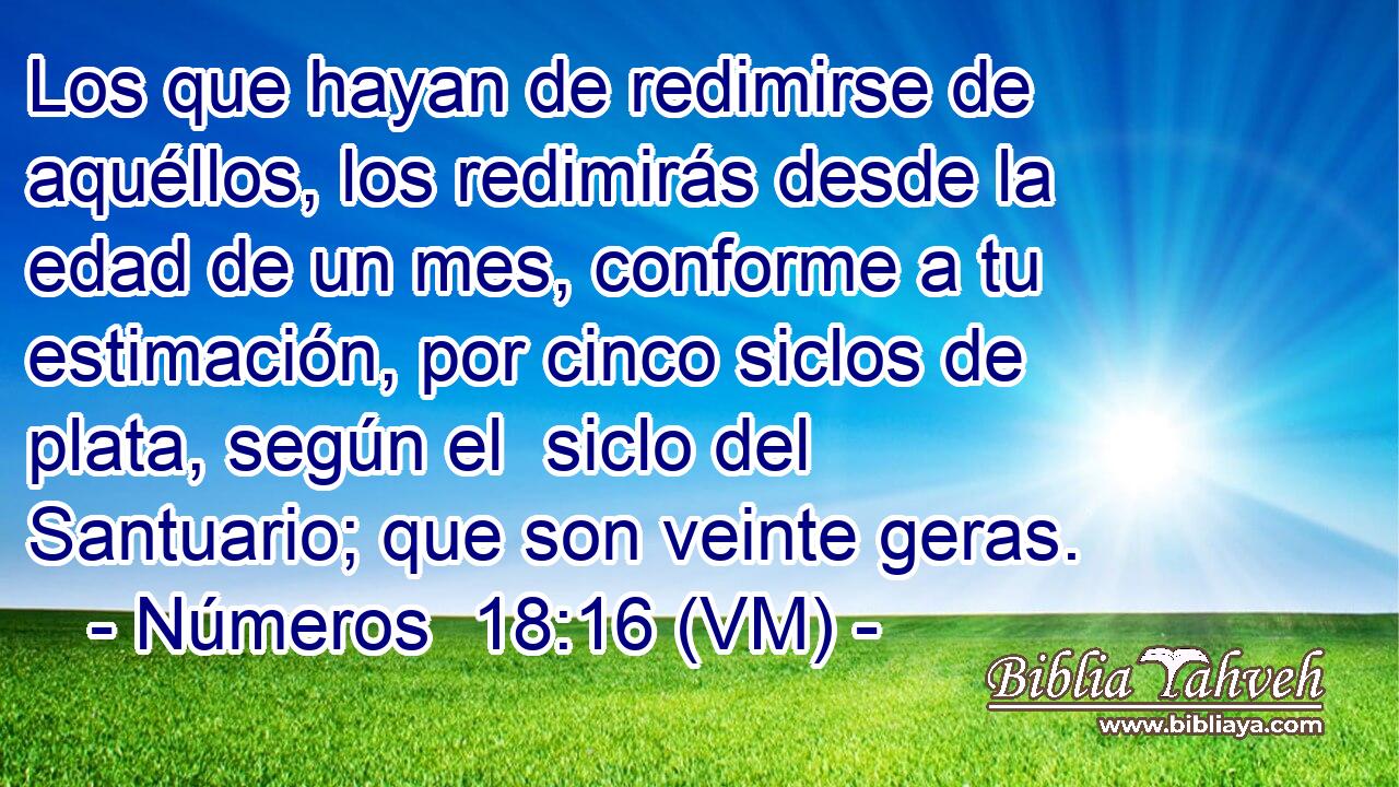  Los que hayan de redimirse de aquéllos, los redimirás desde la edad de un mes, conforme a tu estimación, por cinco siclos de plata, según el  siclo del Santuario; que son veinte geras. 