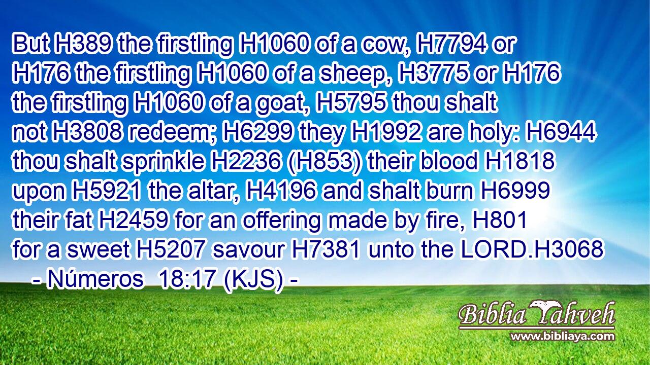 But H389 the firstling H1060 of a cow, H7794 or H176 the firstling H1060 of a sheep, H3775 or H176 the firstling H1060 of a goat, H5795 thou shalt not H3808 redeem; H6299 they H1992 are holy: H6944 thou shalt sprinkle H2236 (H853) their blood H1818 upon H5921 the altar, H4196 and shalt burn H6999 their fat H2459 for an offering made by fire, H801 for a sweet H5207 savour H7381 unto the LORD.H3068