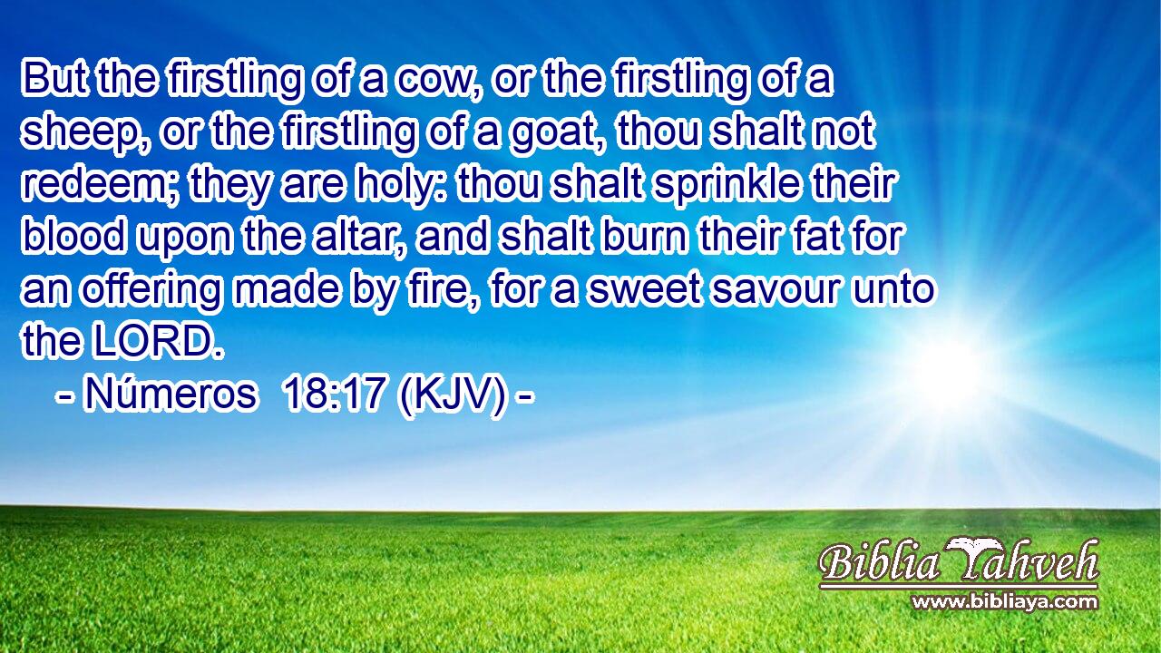 But the firstling of a cow, or the firstling of a sheep, or the firstling of a goat, thou shalt not redeem; they are holy: thou shalt sprinkle their blood upon the altar, and shalt burn their fat for an offering made by fire, for a sweet savour unto the LORD.