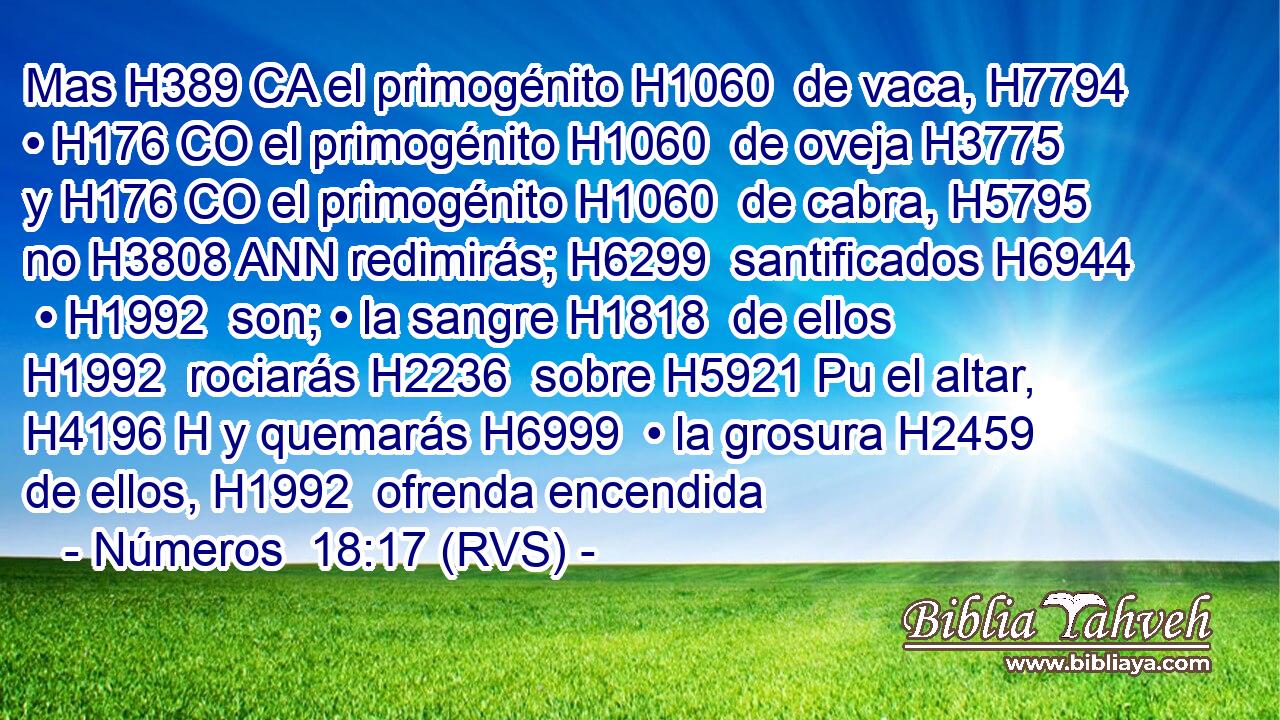 Mas H389 CA el primogénito H1060  de vaca, H7794  • H176 CO el primogénito H1060  de oveja H3775  y H176 CO el primogénito H1060  de cabra, H5795  no H3808 ANN redimirás; H6299  santificados H6944  • H1992  son; • la sangre H1818  de ellos H1992  rociarás H2236  sobre H5921 Pu el altar, H4196 H y quemarás H6999  • la grosura H2459  de ellos, H1992  ofrenda encendida
