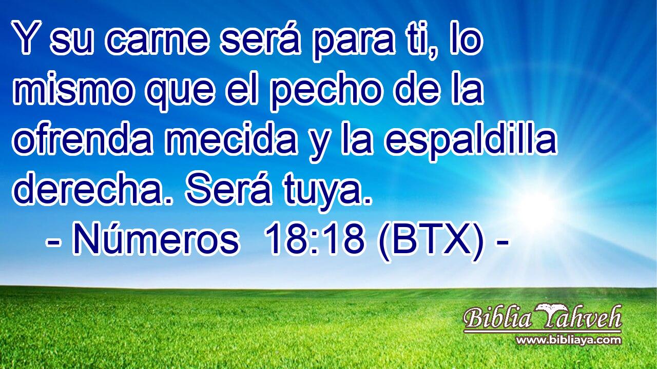 Números 18:18 (BTX) - Y Su Carne Será Para Ti, Lo Mismo Que El ...