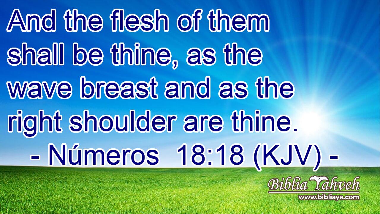 And the flesh of them shall be thine, as the wave breast and as the right shoulder are thine.