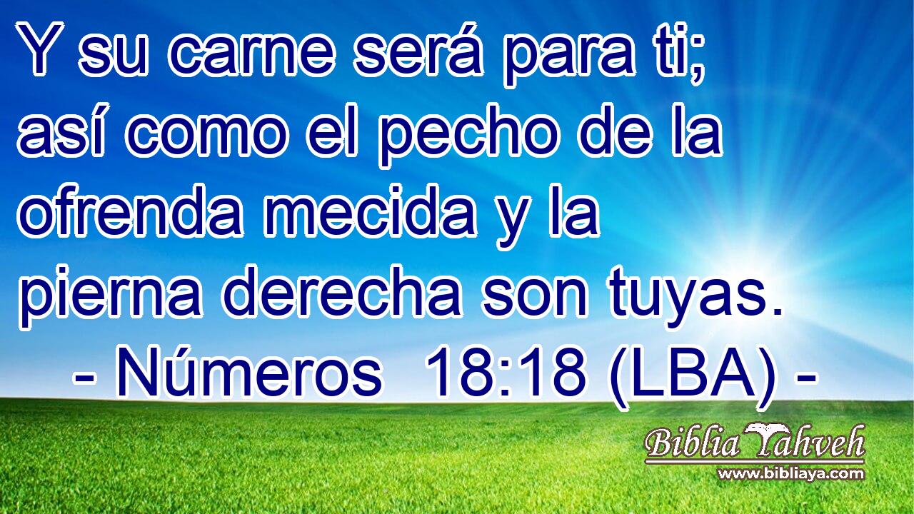 Y su carne será para ti; así como el pecho de la ofrenda mecida y la pierna derecha son tuyas.