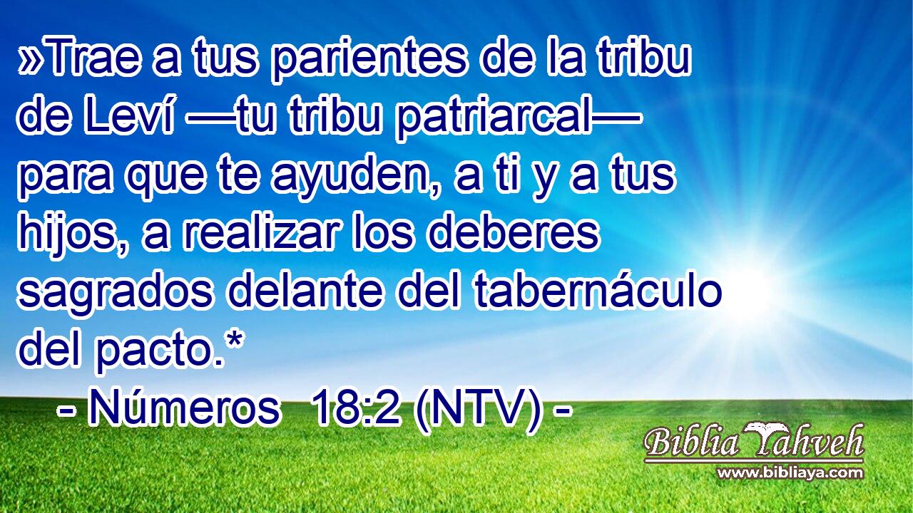 »Trae a tus parientes de la tribu de Leví —tu tribu patriarcal— para que te ayuden, a ti y a tus hijos, a realizar los deberes sagrados delante del tabernáculo del pacto.*