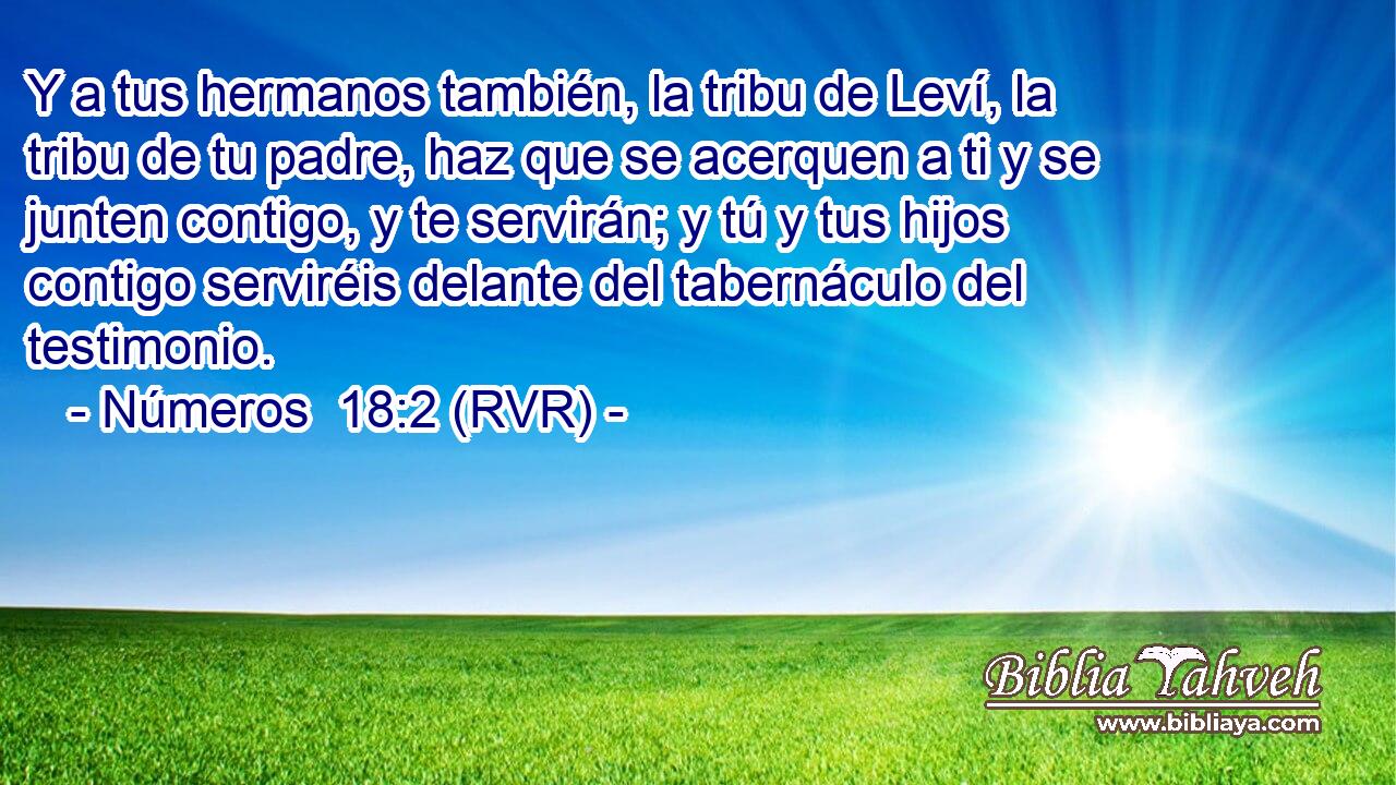 Y a tus hermanos también, la tribu de Leví, la tribu de tu padre, haz que se acerquen a ti y se junten contigo, y te servirán; y tú y tus hijos contigo serviréis delante del tabernáculo del testimonio.