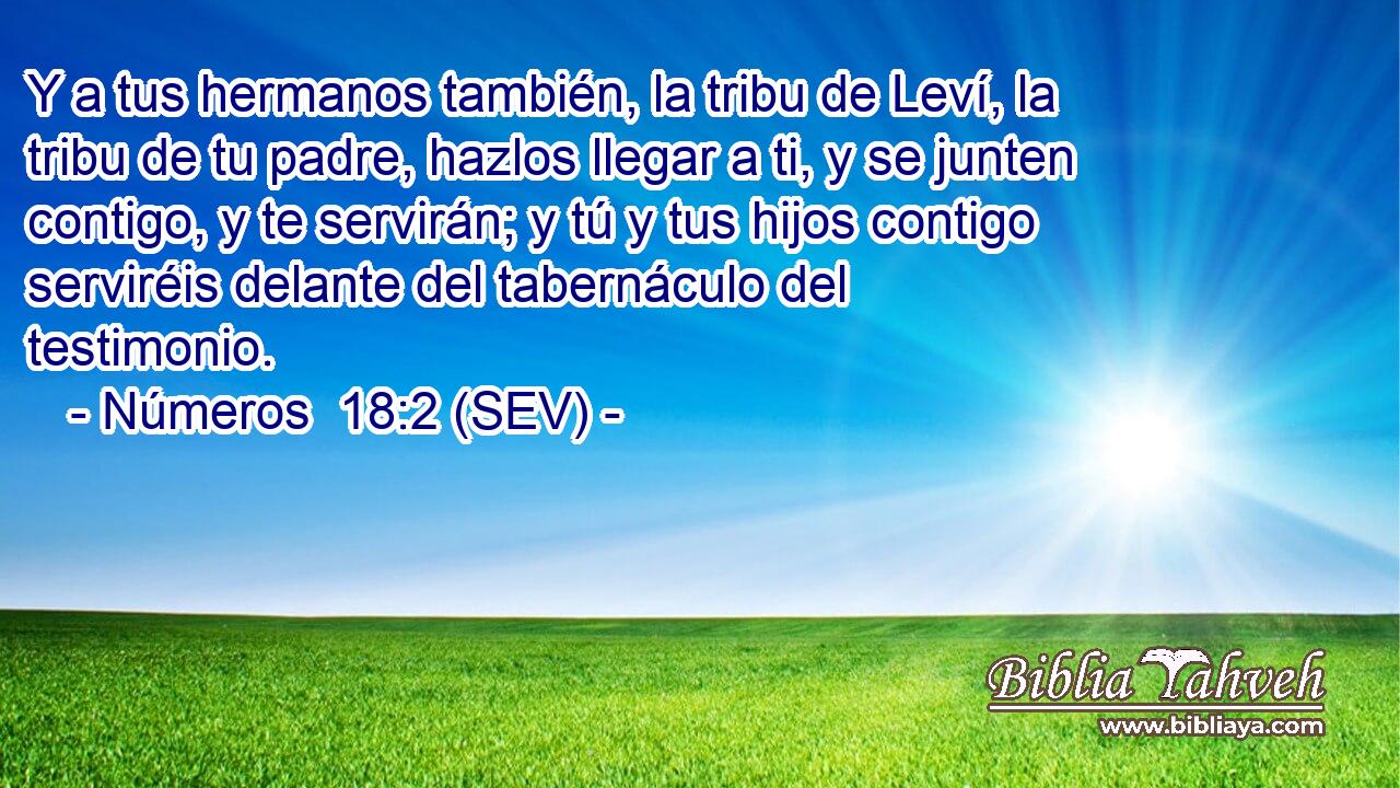 Y a tus hermanos también, la tribu de Leví, la tribu de tu padre, hazlos llegar a ti, y se junten contigo, y te servirán; y tú y tus hijos contigo serviréis delante del tabernáculo del testimonio.