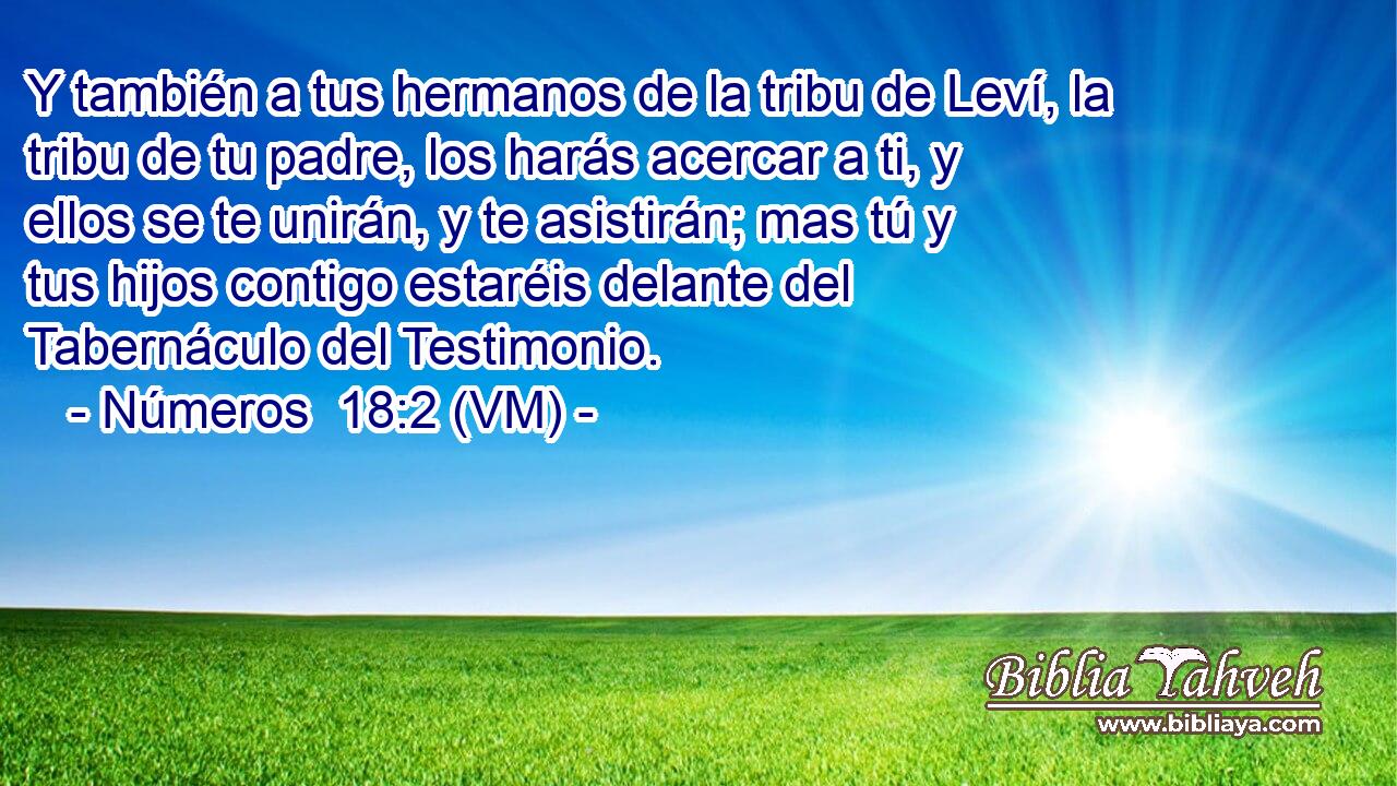  Y también a tus hermanos de la tribu de Leví, la tribu de tu padre, los harás acercar a ti, y ellos se te unirán, y te asistirán; mas tú y tus hijos contigo estaréis delante del Tabernáculo del Testimonio. 