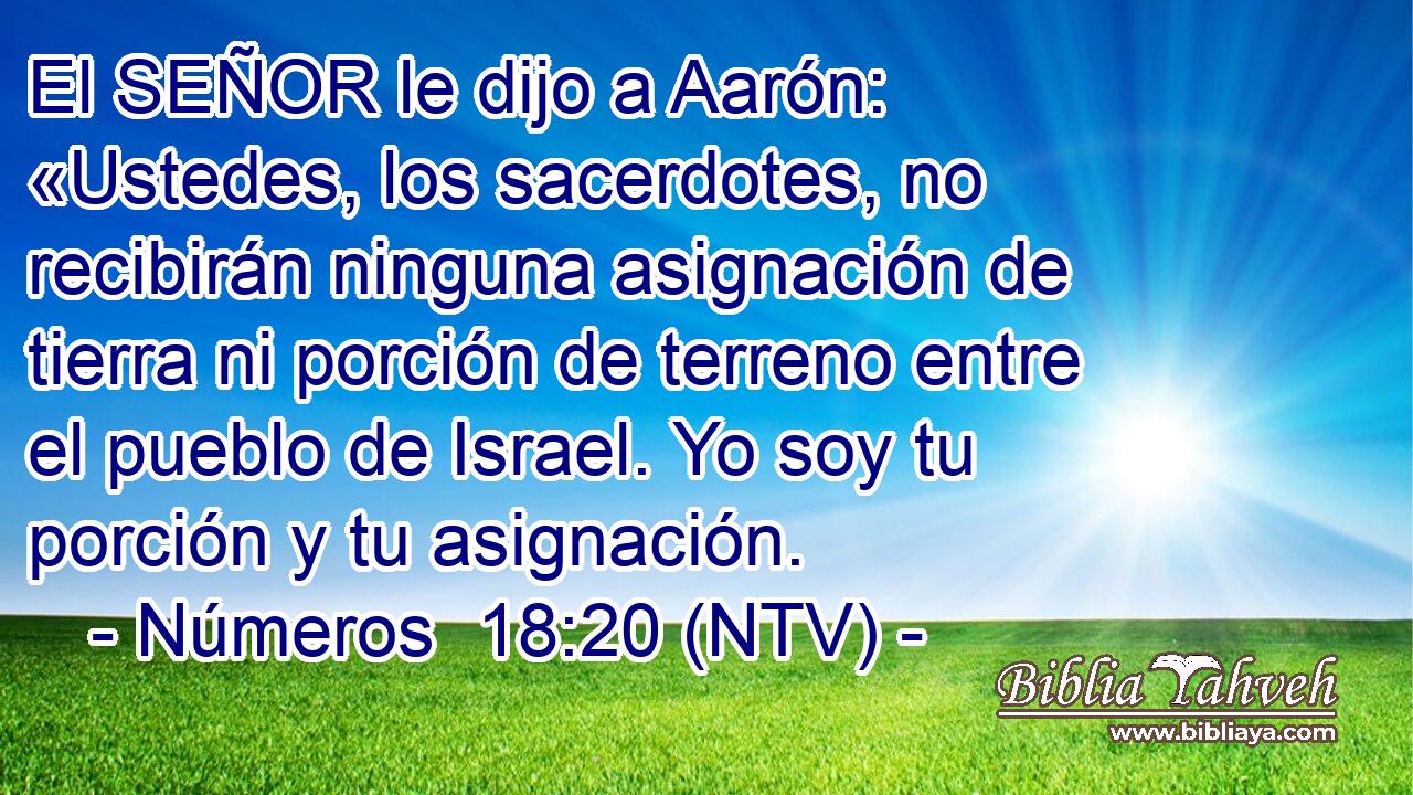 El SEÑOR le dijo a Aarón: «Ustedes, los sacerdotes, no recibirán ninguna asignación de tierra ni porción de terreno entre el pueblo de Israel. Yo soy tu porción y tu asignación.