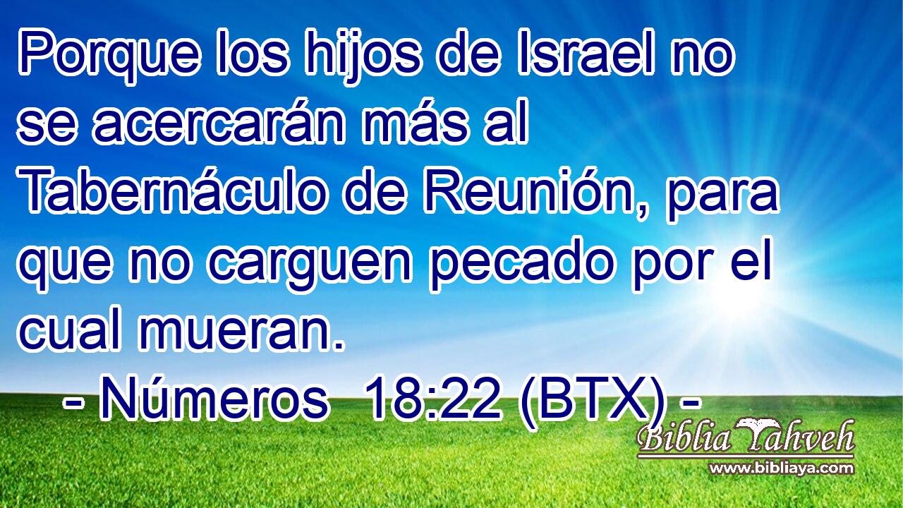 Porque los hijos de Israel no se acercarán más al Tabernáculo de Reunión, para que no carguen pecado por el cual mueran.
