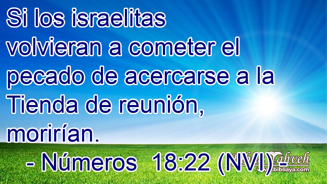  Si los israelitas volvieran a cometer el pecado de acercarse a la Tienda de reunión, morirían. 