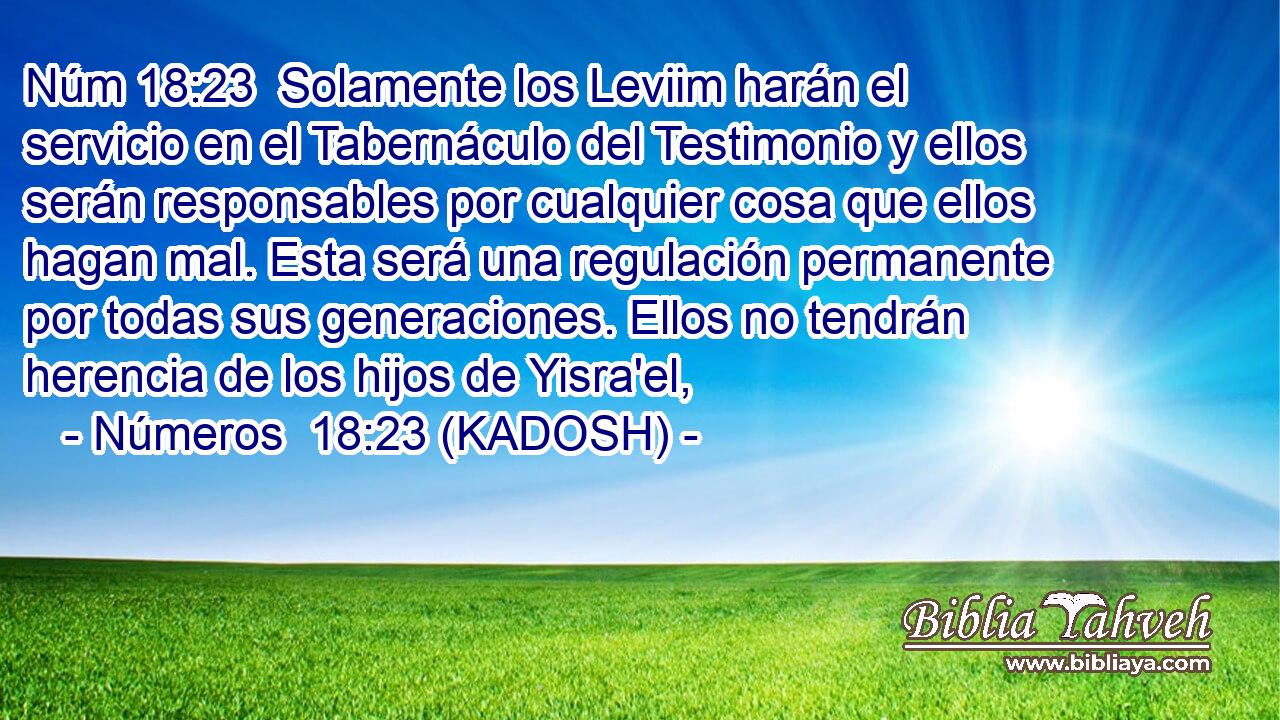  Solamente los Leviim harán el servicio en el Tabernáculo del Testimonio y ellos serán responsables por cualquier cosa que ellos hagan mal. Esta será una regulación permanente por todas sus generaciones. Ellos no tendrán herencia de los hijos de Yisra'el, 
