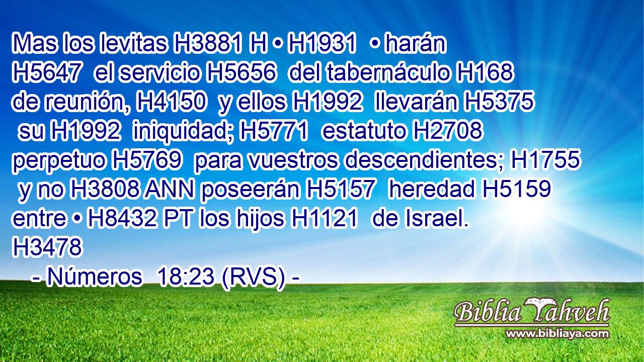 Mas los levitas H3881 H • H1931  • harán H5647  el servicio H5656  del tabernáculo H168  de reunión, H4150  y ellos H1992  llevarán H5375  su H1992  iniquidad; H5771  estatuto H2708  perpetuo H5769  para vuestros descendientes; H1755  y no H3808 ANN poseerán H5157  heredad H5159  entre • H8432 PT los hijos H1121  de Israel. H3478  