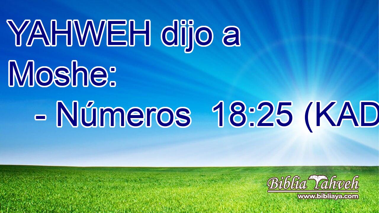  YAHWEH dijo a Moshe: 
