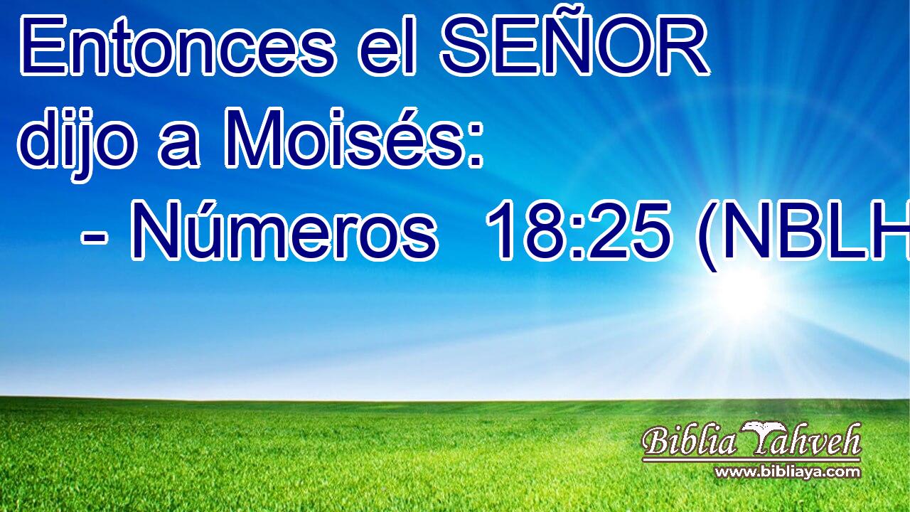  Entonces el SEÑOR dijo a Moisés: 