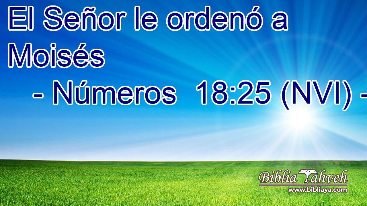  El Señor le ordenó a Moisés 