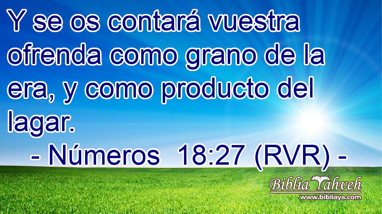 Y se os contará vuestra ofrenda como grano de la era, y como producto del lagar.
