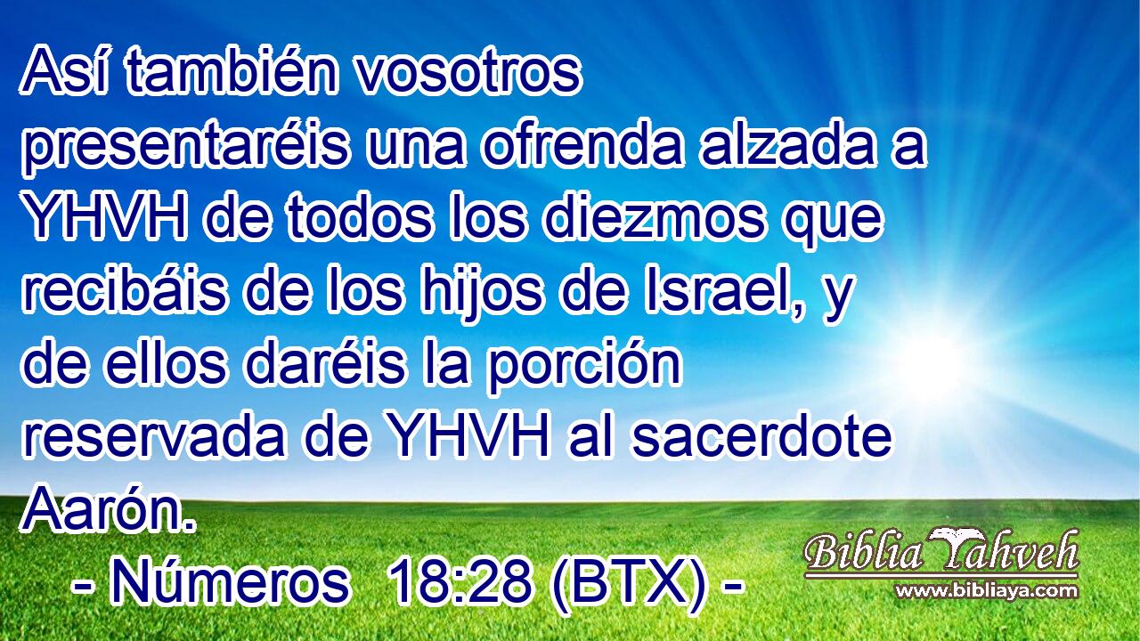 Así también vosotros presentaréis una ofrenda alzada a YHVH de todos los diezmos que recibáis de los hijos de Israel, y de ellos daréis la porción reservada de YHVH al sacerdote Aarón.