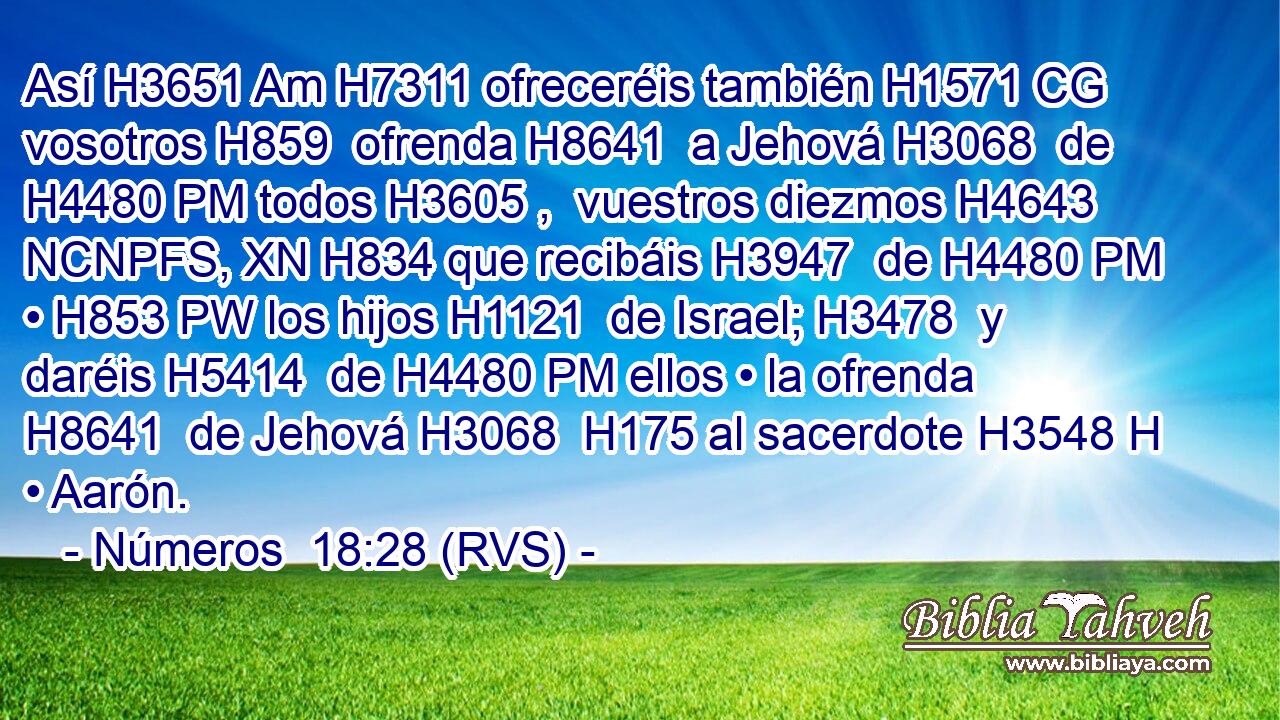 Así H3651 Am H7311 ofreceréis también H1571 CG vosotros H859  ofrenda H8641  a Jehová H3068  de H4480 PM todos H3605 ,  vuestros diezmos H4643 NCNPFS, XN H834 que recibáis H3947  de H4480 PM • H853 PW los hijos H1121  de Israel; H3478  y daréis H5414  de H4480 PM ellos • la ofrenda H8641  de Jehová H3068  H175 al sacerdote H3548 H • Aarón. 