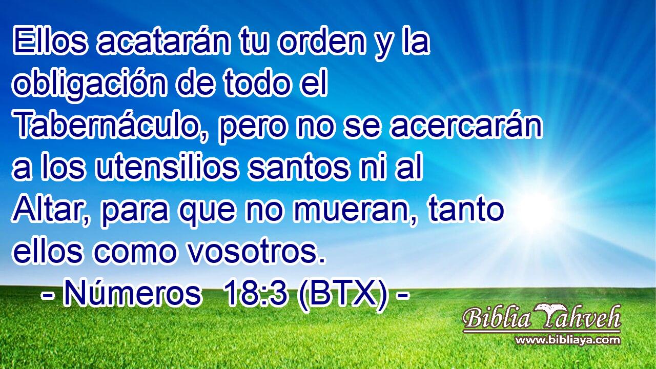 Ellos acatarán tu orden y la obligación de todo el Tabernáculo, pero no se acercarán a los utensilios santos ni al Altar, para que no mueran, tanto ellos como vosotros.