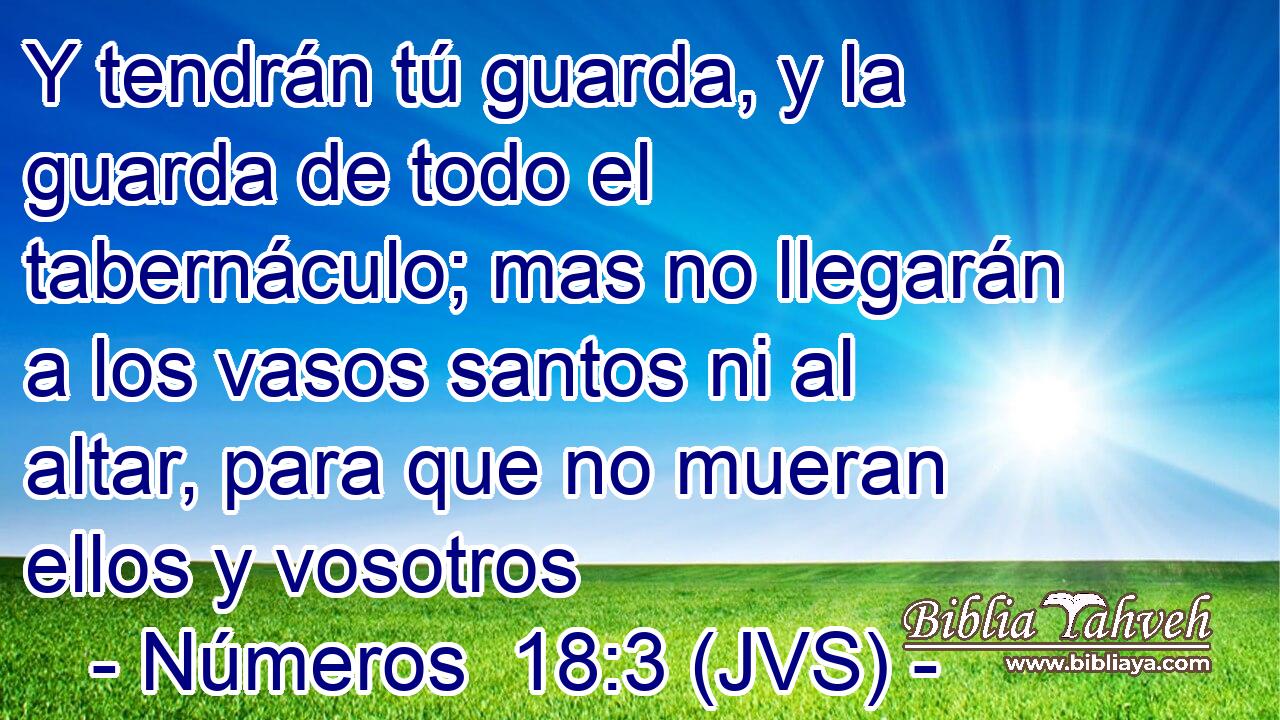 Y tendrán tú guarda, y la guarda de todo el tabernáculo; mas no llegarán a los vasos santos ni al altar, para que no mueran ellos y vosotros