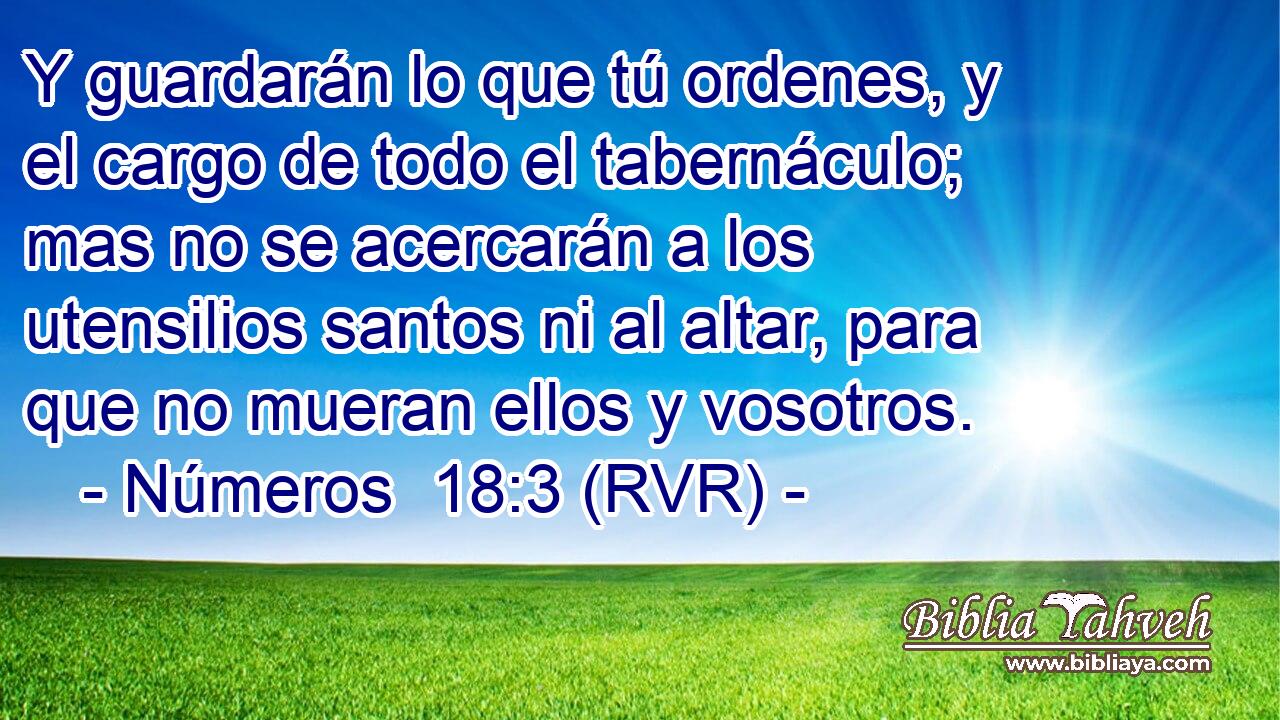 Y guardarán lo que tú ordenes, y el cargo de todo el tabernáculo; mas no se acercarán a los utensilios santos ni al altar, para que no mueran ellos y vosotros.