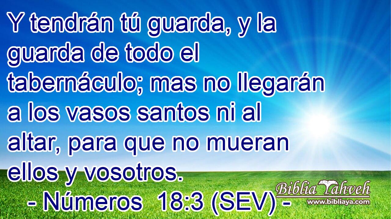 Y tendrán tú guarda, y la guarda de todo el tabernáculo; mas no llegarán a los vasos santos ni al altar, para que no mueran ellos y vosotros.