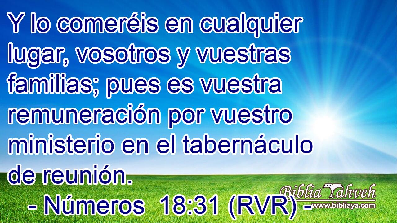 Y lo comeréis en cualquier lugar, vosotros y vuestras familias; pues es vuestra remuneración por vuestro ministerio en el tabernáculo de reunión.