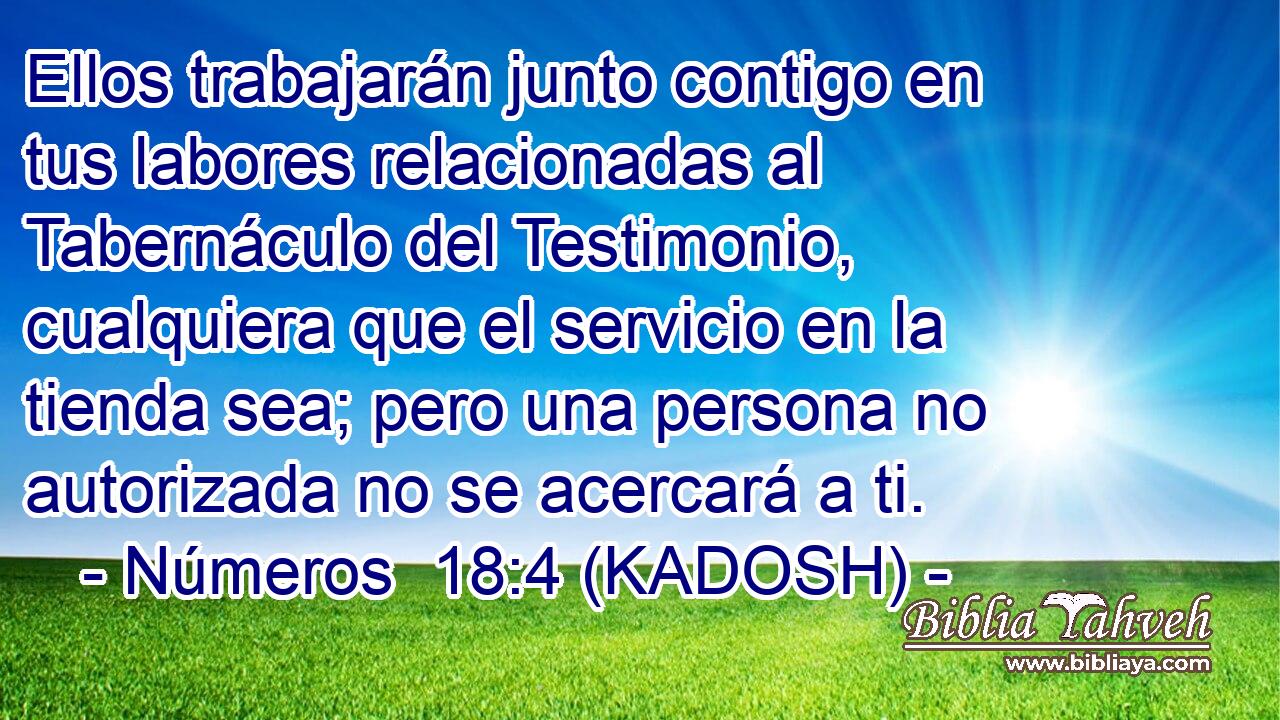  Ellos trabajarán junto contigo en tus labores relacionadas al Tabernáculo del Testimonio, cualquiera que el servicio en la tienda sea; pero una persona no autorizada no se acercará a ti. 
