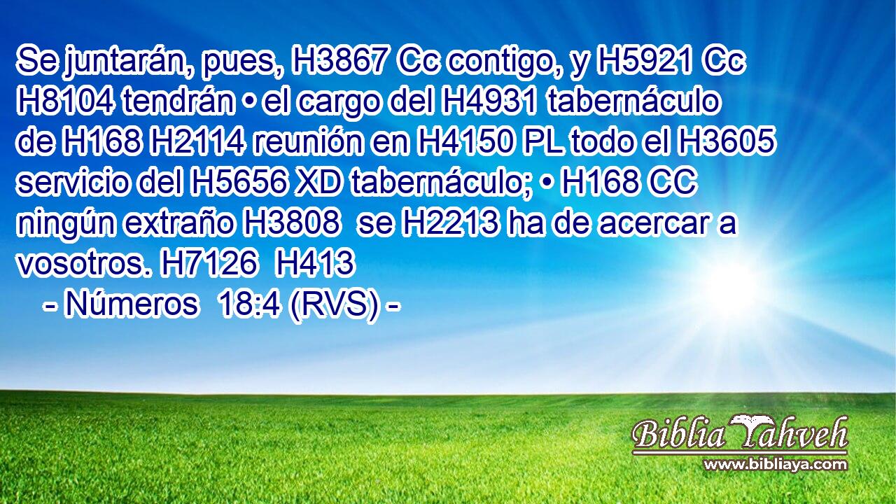 Se juntarán, pues, H3867 Cc contigo, y H5921 Cc H8104 tendrán • el cargo del H4931 tabernáculo de H168 H2114 reunión en H4150 PL todo el H3605 servicio del H5656 XD tabernáculo; • H168 CC ningún extraño H3808  se H2213 ha de acercar a vosotros. H7126  H413 
