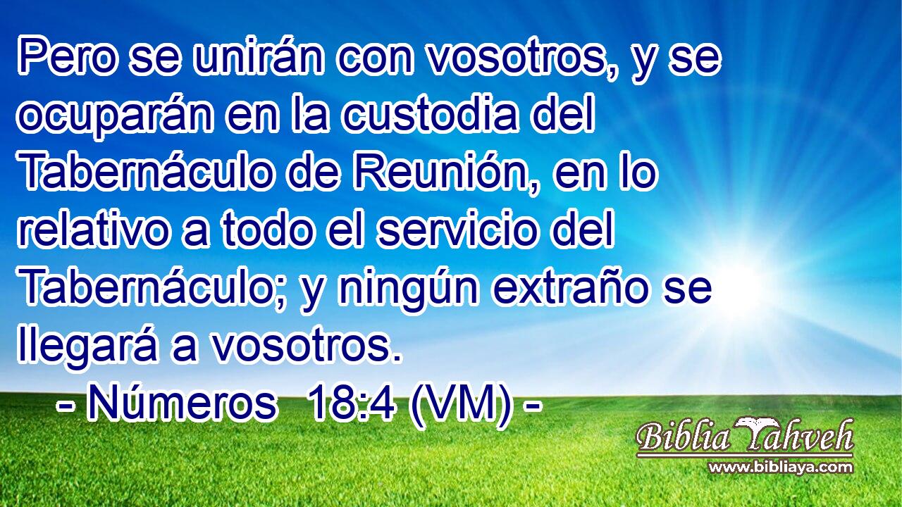  Pero se unirán con vosotros, y se ocuparán en la custodia del Tabernáculo de Reunión, en lo relativo a todo el servicio del Tabernáculo; y ningún extraño se llegará a vosotros. 
