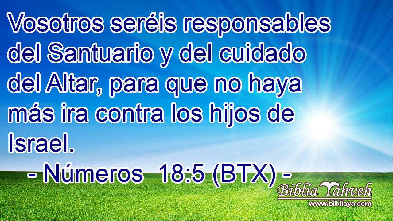 Vosotros seréis responsables del Santuario y del cuidado del Altar, para que no haya más ira contra los hijos de Israel.