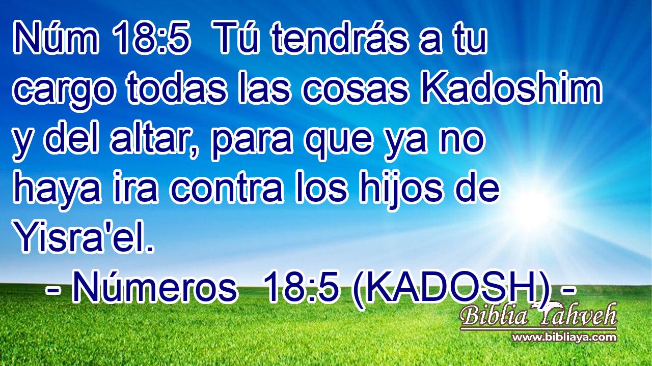 Números 18:5 (KADOSH) - Núm 18:5 Tú tendrás a tu cargo todas...