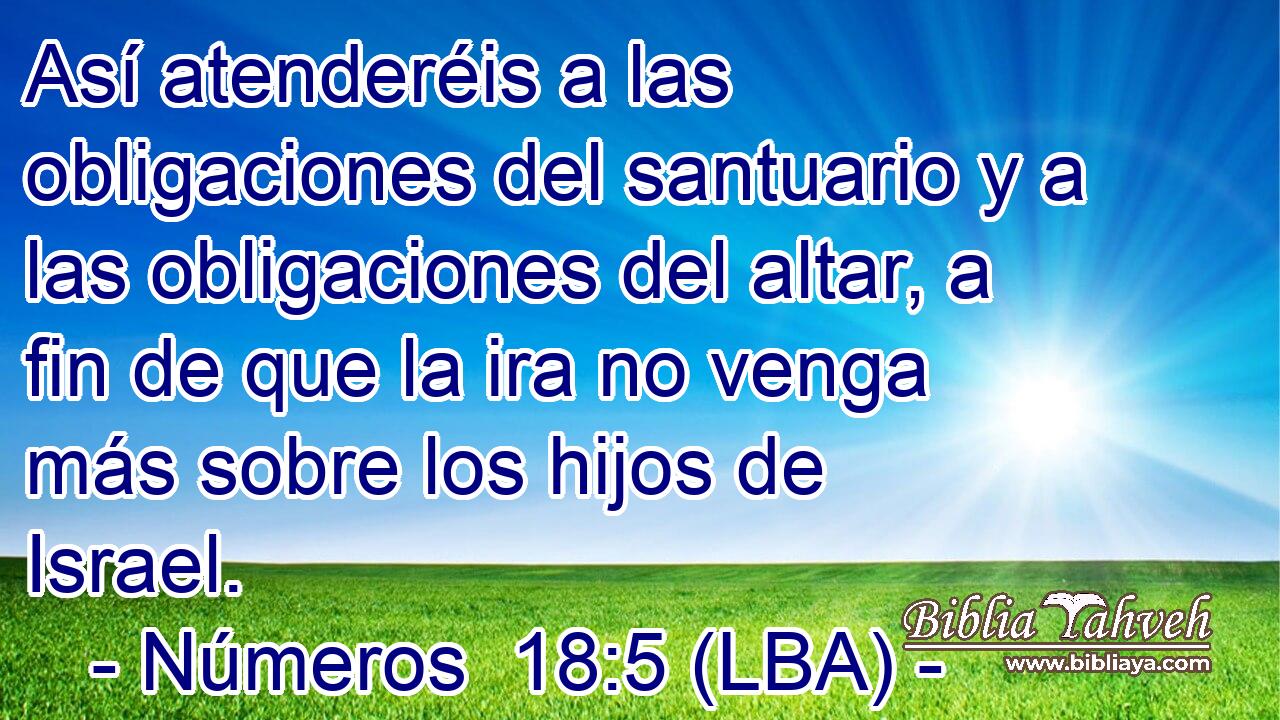 Así atenderéis a las obligaciones del santuario y a las obligaciones del altar, a fin de que la ira no venga más sobre los hijos de Israel.