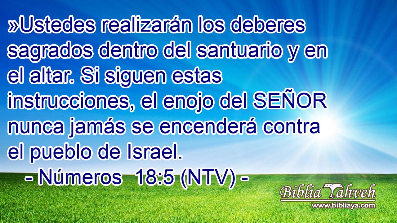»Ustedes realizarán los deberes sagrados dentro del santuario y en el altar. Si siguen estas instrucciones, el enojo del SEÑOR nunca jamás se encenderá contra el pueblo de Israel.