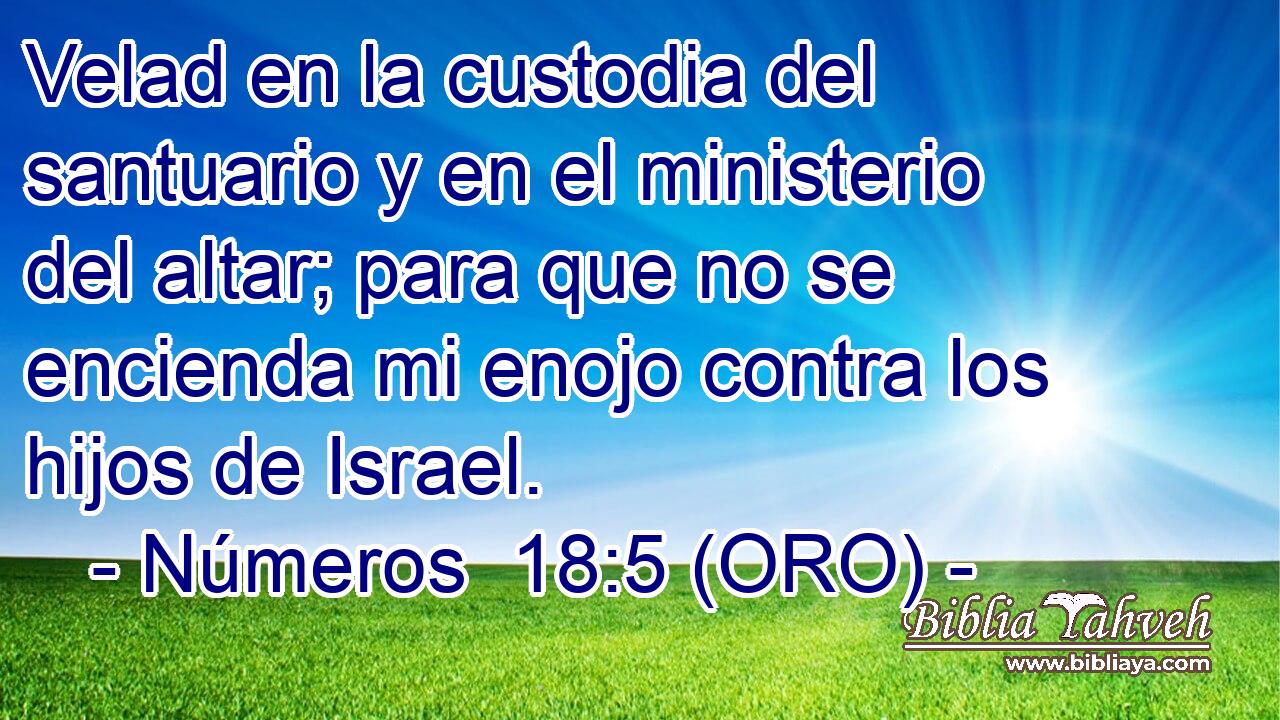  Velad en la custodia del santuario y en el ministerio del altar; para que no se encienda mi enojo contra los hijos de Israel. 