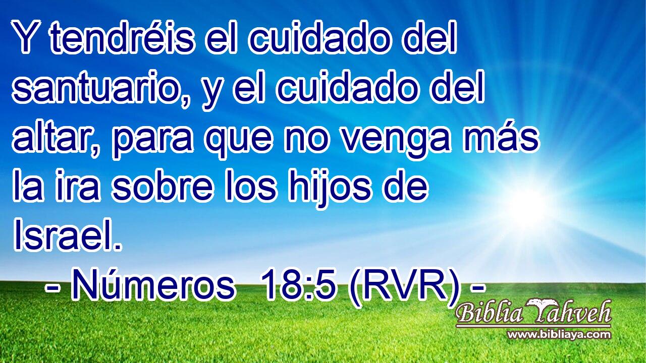 Y tendréis el cuidado del santuario, y el cuidado del altar, para que no venga más la ira sobre los hijos de Israel.