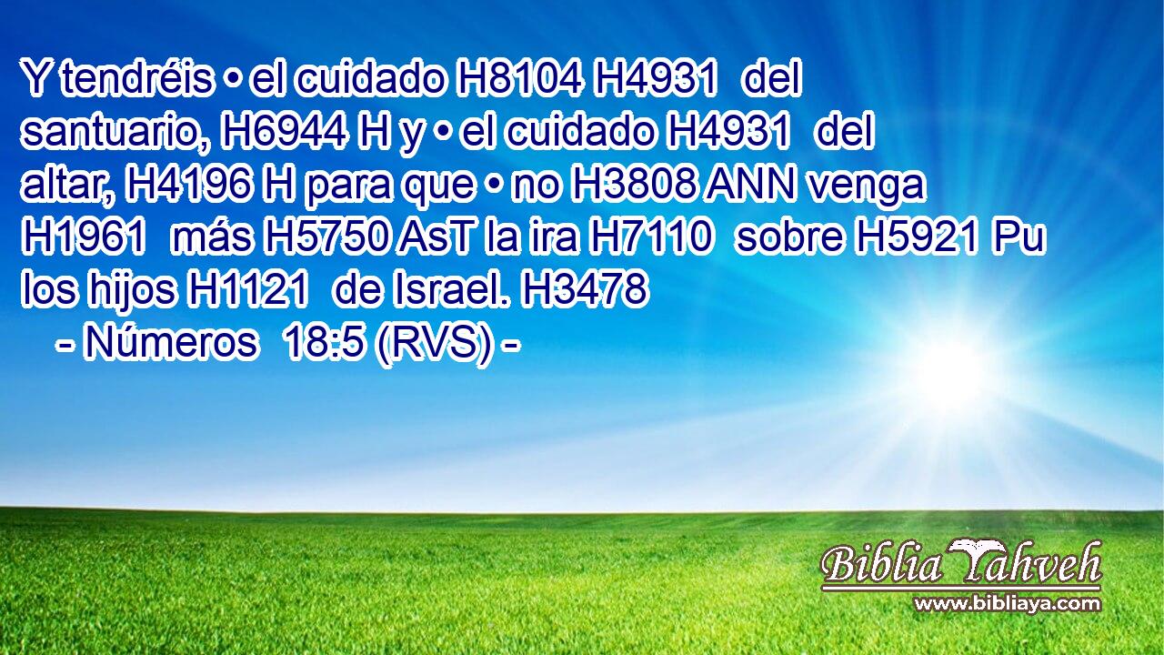 Y tendréis • el cuidado H8104 H4931  del santuario, H6944 H y • el cuidado H4931  del altar, H4196 H para que • no H3808 ANN venga H1961  más H5750 AsT la ira H7110  sobre H5921 Pu los hijos H1121  de Israel. H3478  