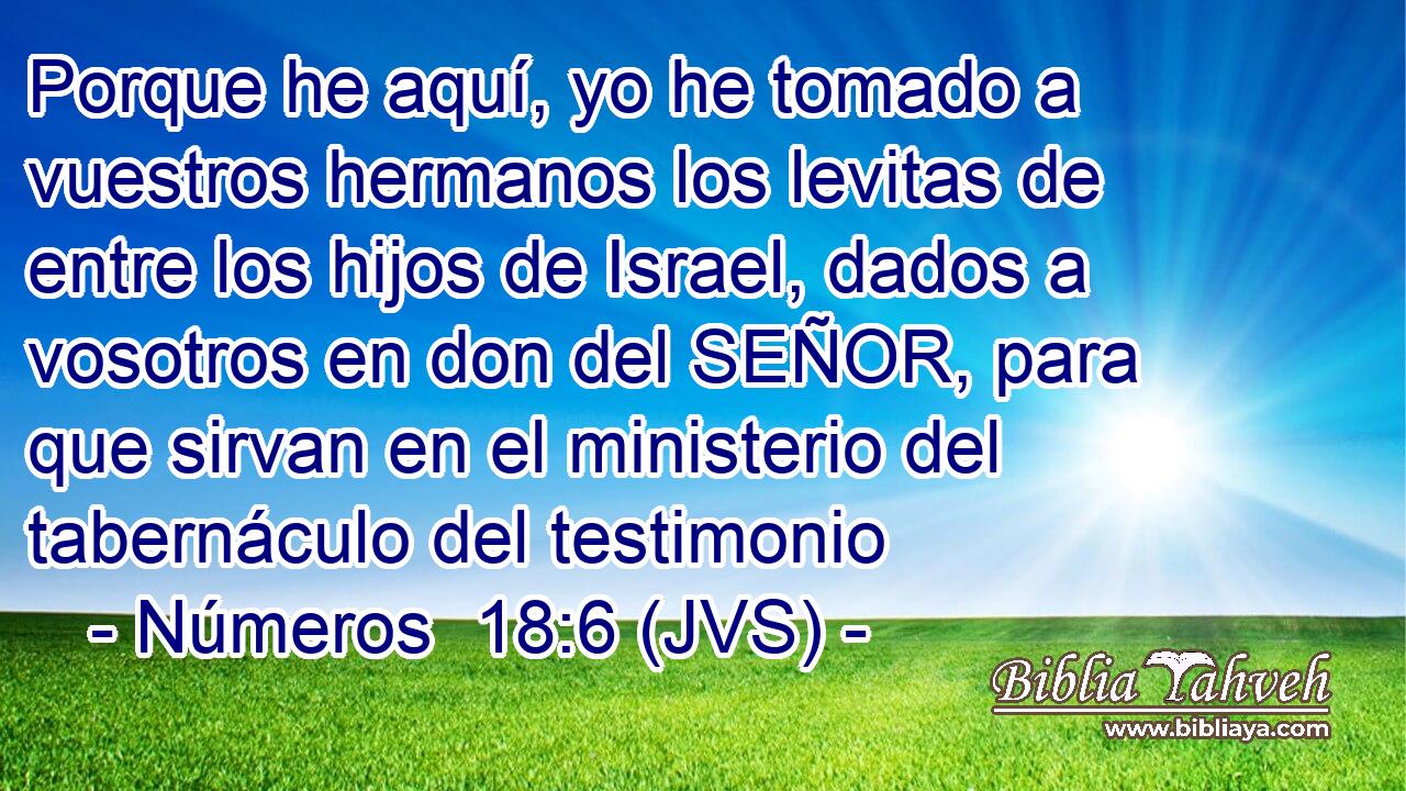 Porque he aquí, yo he tomado a vuestros hermanos los levitas de entre los hijos de Israel, dados a vosotros en don del SEÑOR, para que sirvan en el ministerio del tabernáculo del testimonio