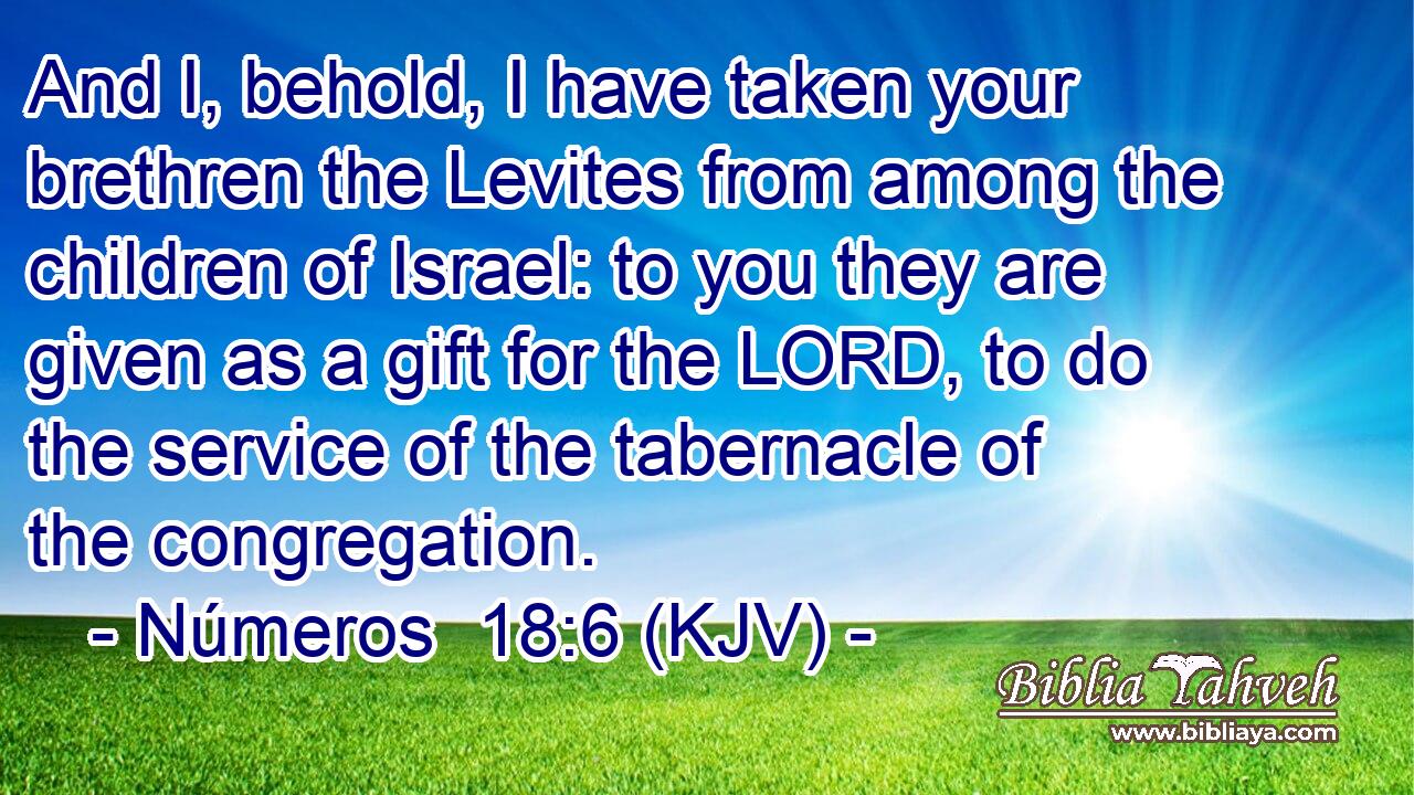 And I, behold, I have taken your brethren the Levites from among the children of Israel: to you they are given as a gift for the LORD, to do the service of the tabernacle of the congregation.
