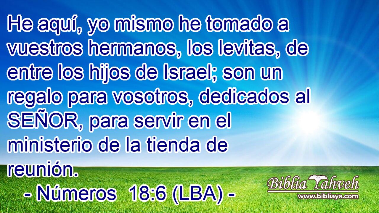 He aquí, yo mismo he tomado a vuestros hermanos, los levitas, de entre los hijos de Israel; son un regalo para vosotros, dedicados al SEÑOR, para servir en el ministerio de la tienda de reunión.