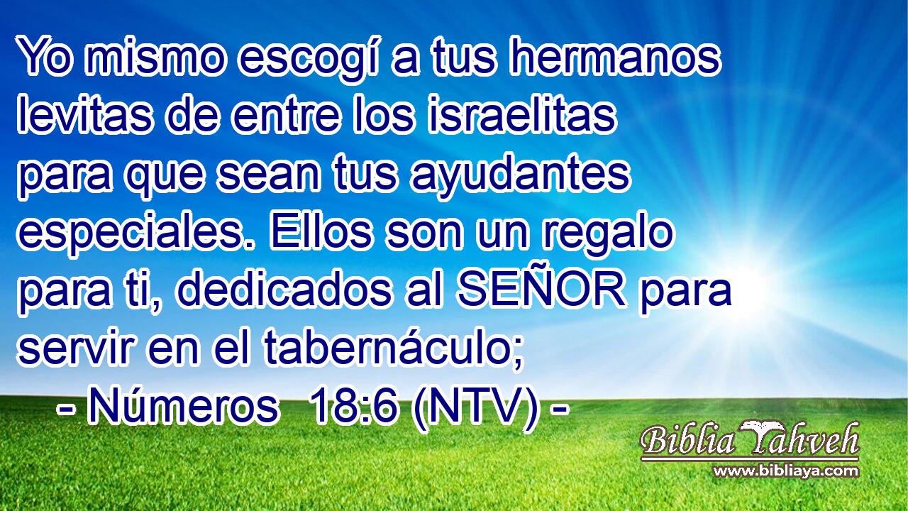 Yo mismo escogí a tus hermanos levitas de entre los israelitas para que sean tus ayudantes especiales. Ellos son un regalo para ti, dedicados al SEÑOR para servir en el tabernáculo;