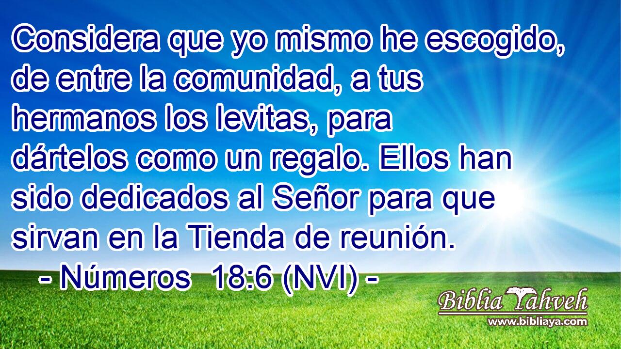  Considera que yo mismo he escogido, de entre la comunidad, a tus hermanos los levitas, para dártelos como un regalo. Ellos han sido dedicados al Señor para que sirvan en la Tienda de reunión. 