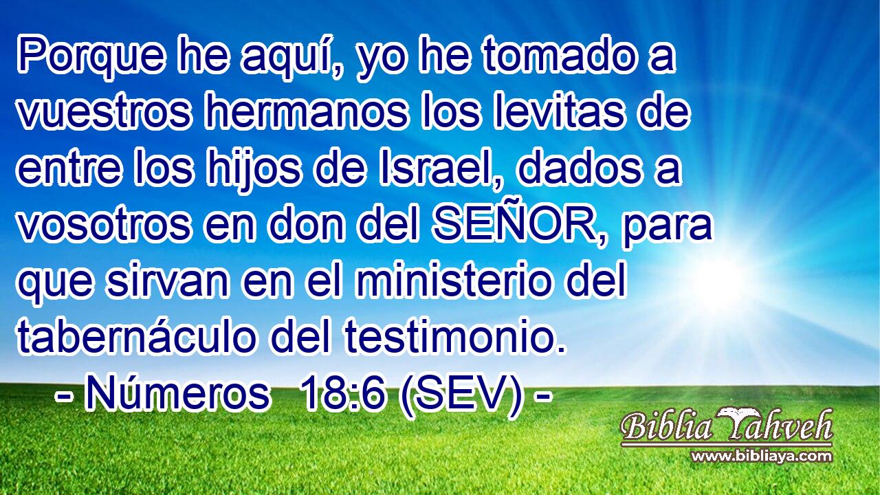 Porque he aquí, yo he tomado a vuestros hermanos los levitas de entre los hijos de Israel, dados a vosotros en don del SEÑOR, para que sirvan en el ministerio del tabernáculo del testimonio.