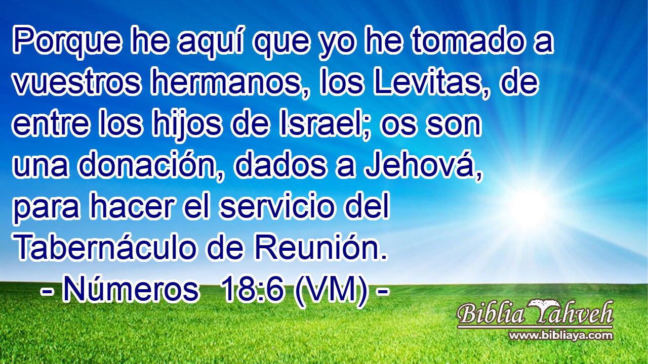  Porque he aquí que yo he tomado a vuestros hermanos, los Levitas, de entre los hijos de Israel; os son una donación, dados a Jehová, para hacer el servicio del Tabernáculo de Reunión. 