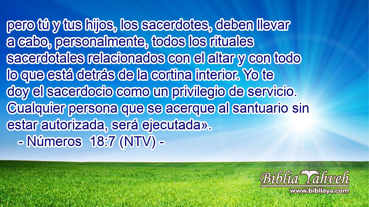 pero tú y tus hijos, los sacerdotes, deben llevar a cabo, personalmente, todos los rituales sacerdotales relacionados con el altar y con todo lo que está detrás de la cortina interior. Yo te doy el sacerdocio como un privilegio de servicio. Cualquier persona que se acerque al santuario sin estar autorizada, será ejecutada».