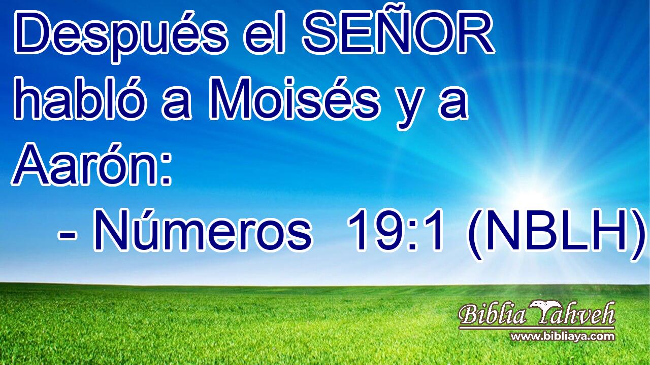  Después el SEÑOR habló a Moisés y a Aarón: 