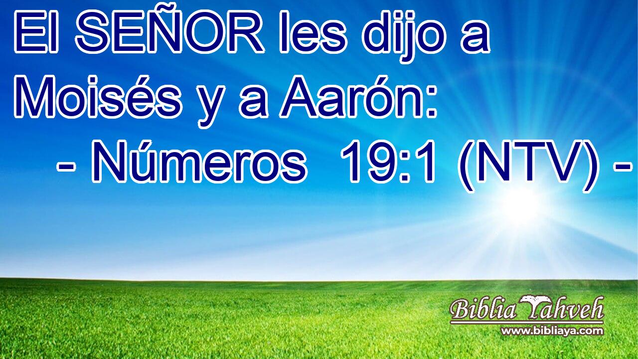 El SEÑOR les dijo a Moisés y a Aarón: